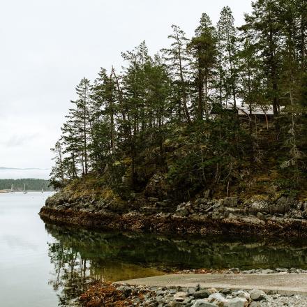 Rocky shoreline with pine trees reflected in calm water. Overcast sky.