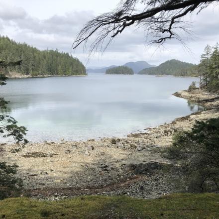Serene bay with calm water, surrounded by forested hills under a cloudy sky.