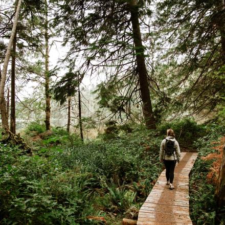 Person walking on a wooden path through a lush forest.