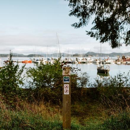 Harbor view with moored boats, surrounded by trees and greenery.
