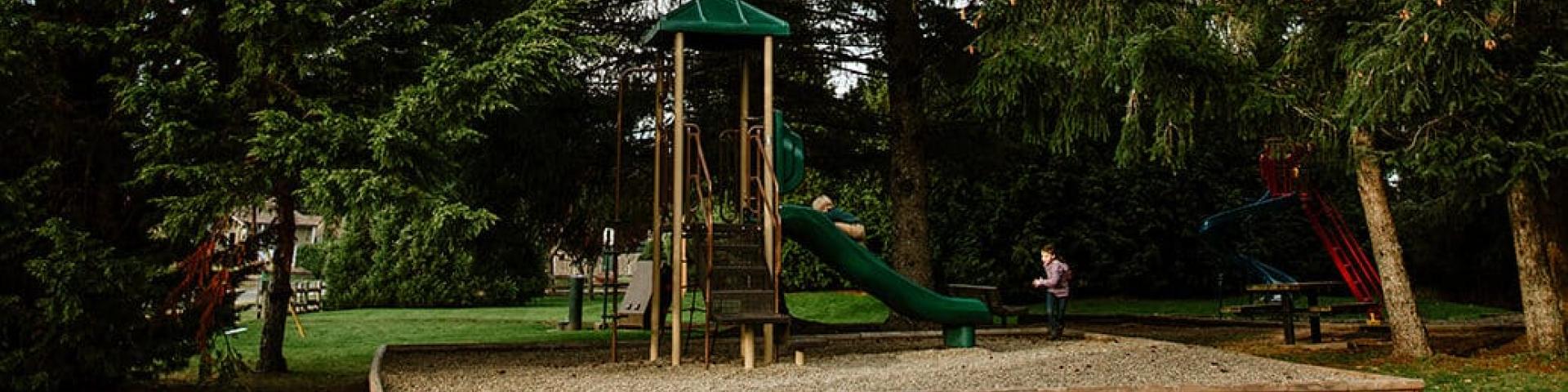 Playground surrounded by tall trees, with a slide and a wooden structure.