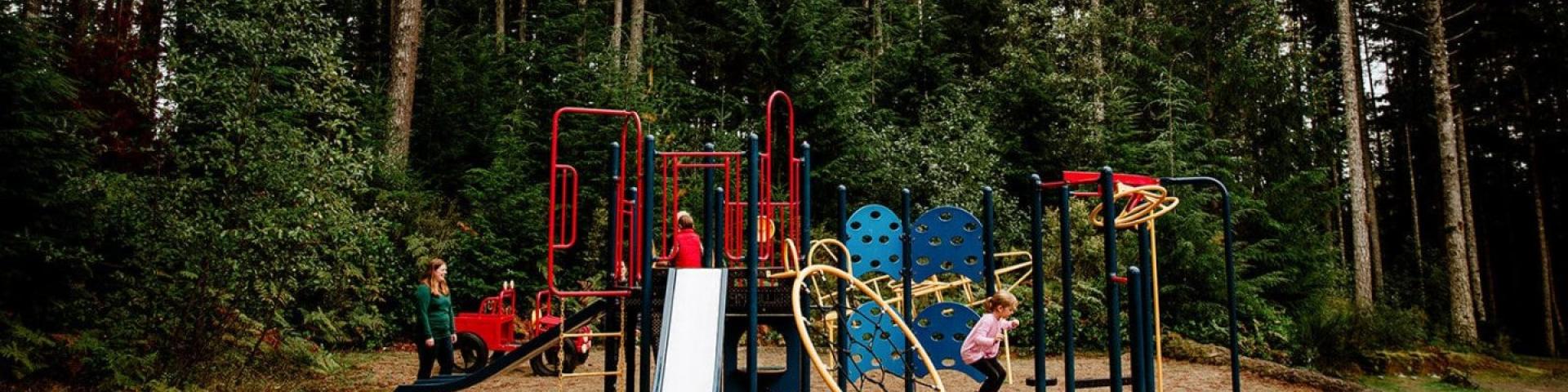 Playground equipment with children playing, surrounded by tall trees.