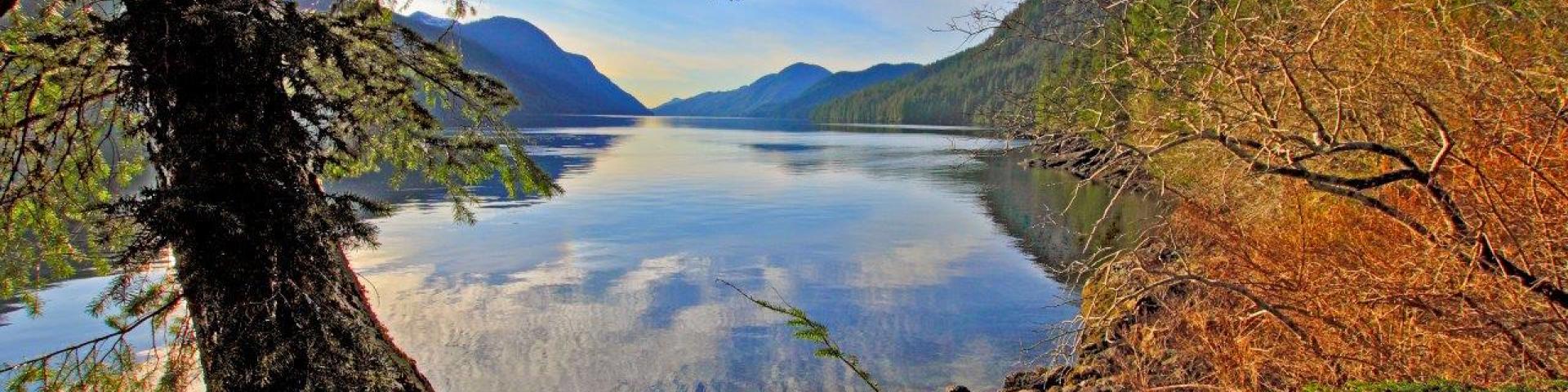 Lakeside landscape with mountains, trees, and blue sky.