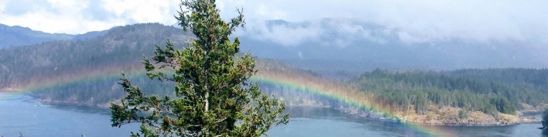 Rainbow over a lake with pine trees and distant hills on a cloudy day.