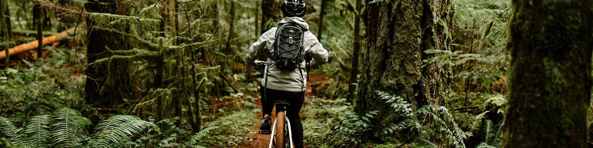 A person biking on a narrow trail through a lush green forest.