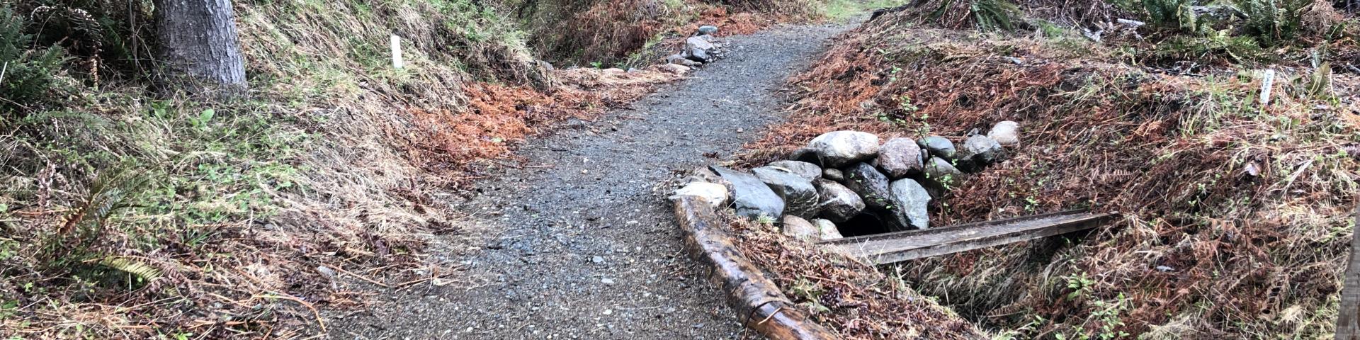Narrow winding trail through a forest, lined with trees and patches of gravel.