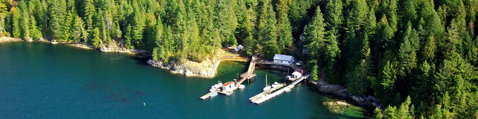Aerial view of a forested shoreline with boats docked at a small pier.