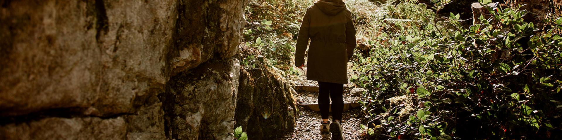A person walking on a path surrounded by lush greenery and sunlight filtering through trees.