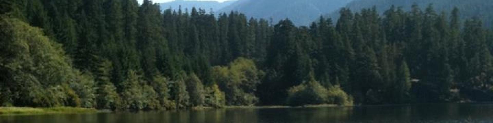 Serene lake surrounded by lush trees and mountains under a clear blue sky.