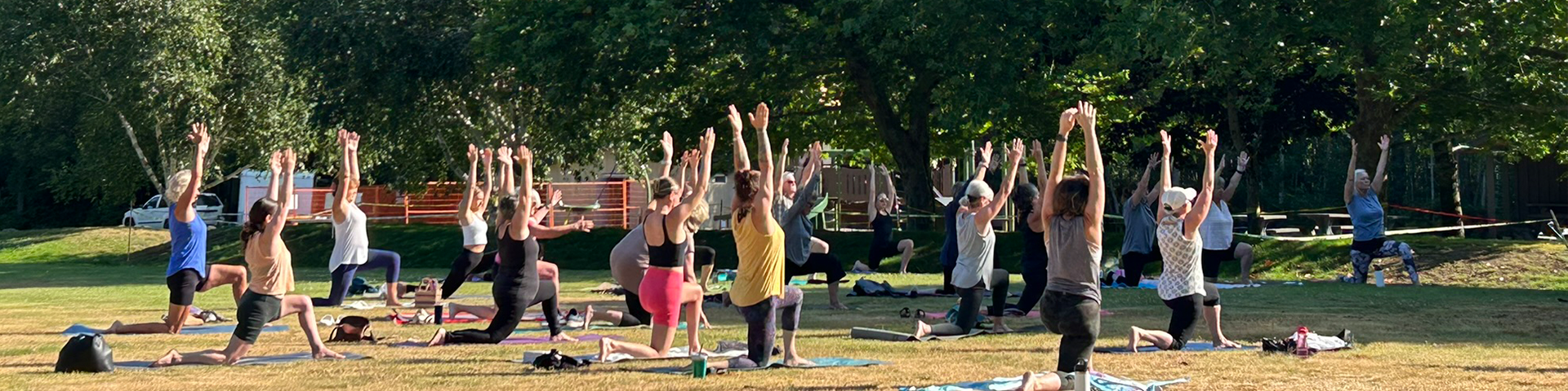 Group of people doing Yoga in Hagel park