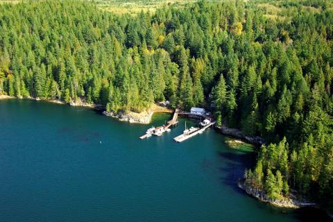 Aerial view of a forested shoreline with boats docked at a small pier.